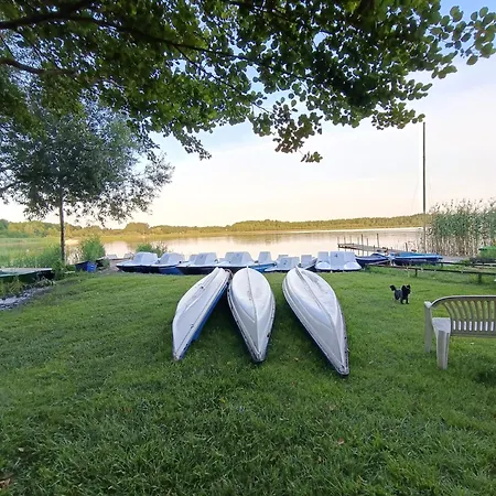 Starkowo Pod Lasem Semesterbostad Starkowo (Leszno)