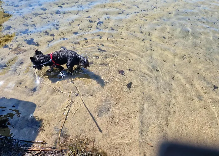 Starkowo Pod Lasem Dom wakacyjny Starkowo (Leszno)