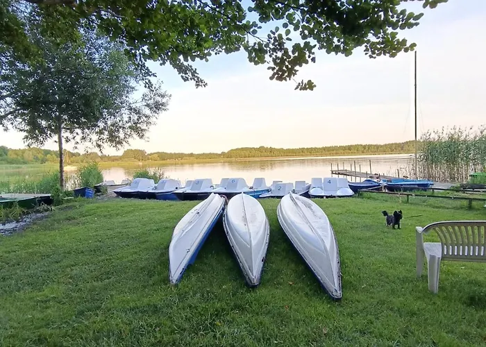 Starkowo Pod Lasem Dom wakacyjny Starkowo (Leszno)